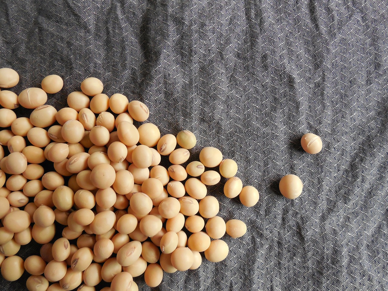 soybeans-182294_1280.jpg